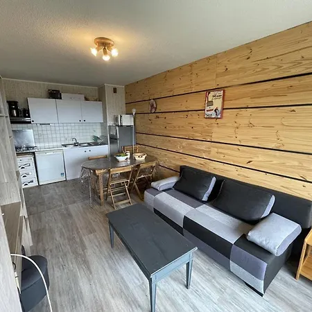 T2 Avec Balcon, Acces Piste, Parking, Animaux Bienvenus