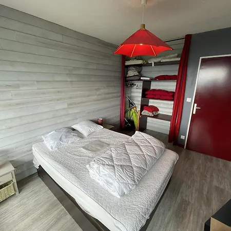 T2 Avec Balcon, Acces Piste, Parking, Animaux Bienvenus Appartement Laveissière