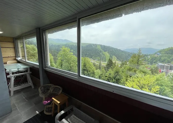 Lägenhet T2 Avec Balcon, Acces Piste, Parking, Animaux Bienvenus - Fr-1-787-69 Laveissière