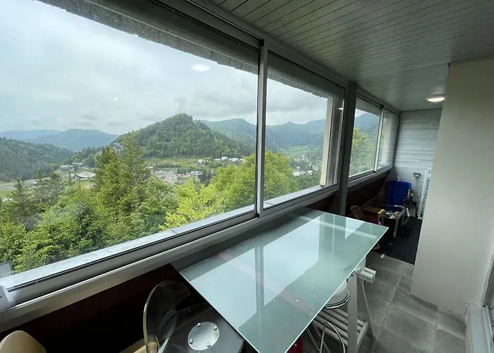 T2 Avec Balcon, Acces Piste, Parking, Animaux Bienvenus - Fr-1-787-69 * Laveissière